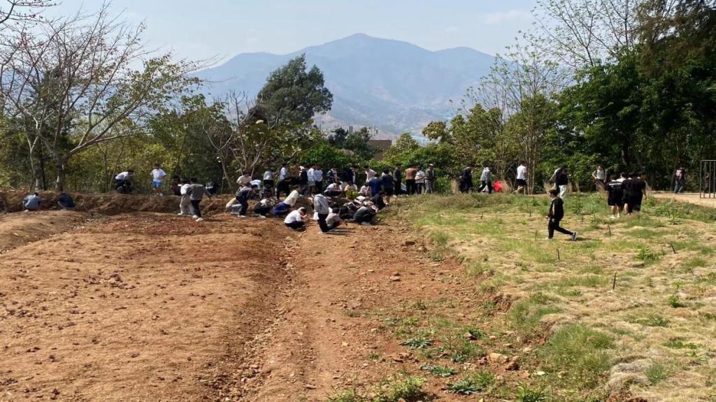 xcsport体育安全通道
