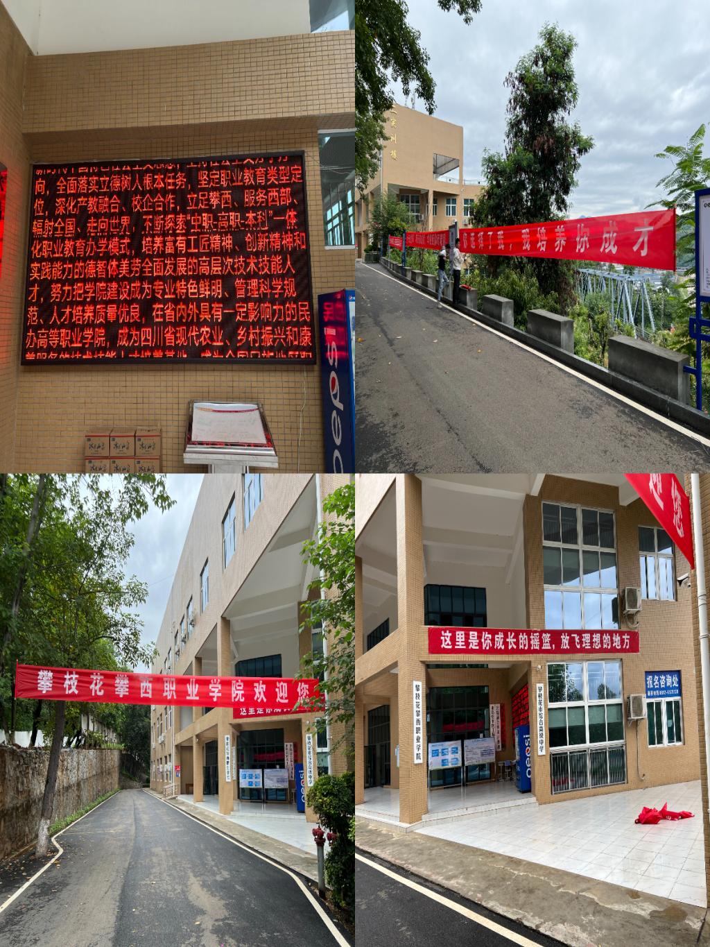 xcsport体育备用网址