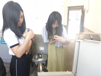 xcsport体育官方指定端