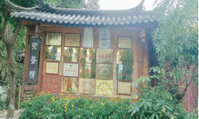 xcsport体育备用网址