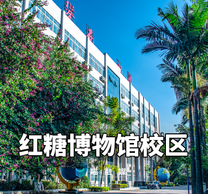 xcsport体育加速节点