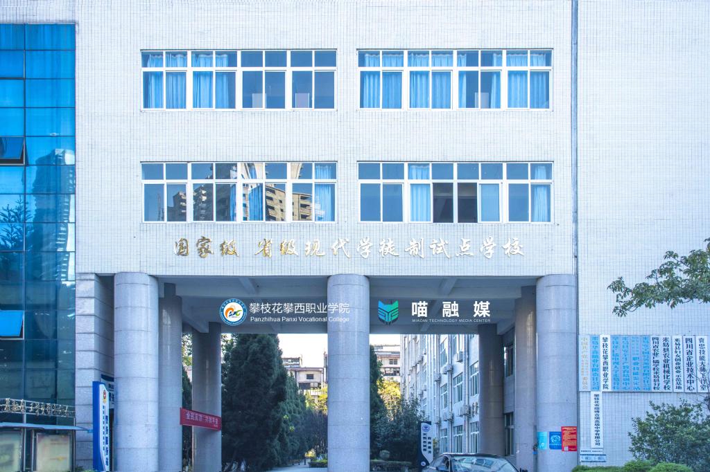 xcsport体育备用网址