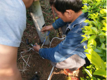 xcsport体育平台