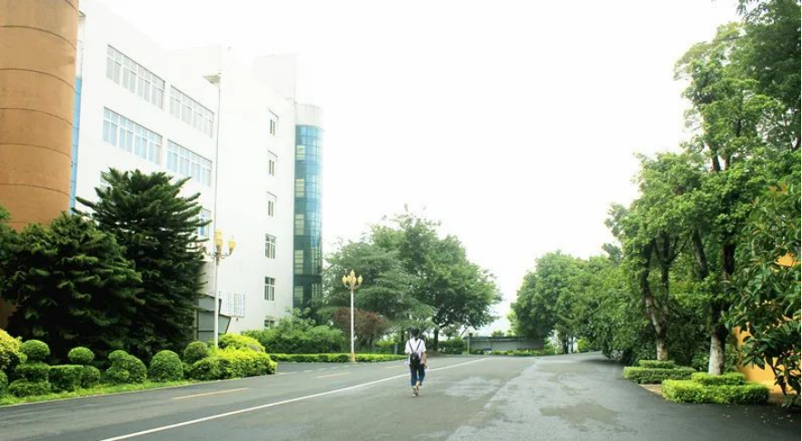 xcsport体育APP下载