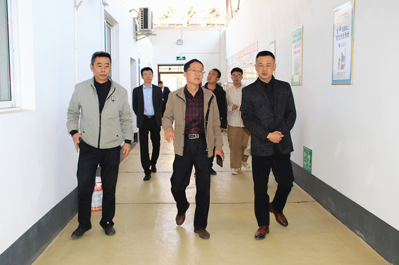 xcsport体育备用网址