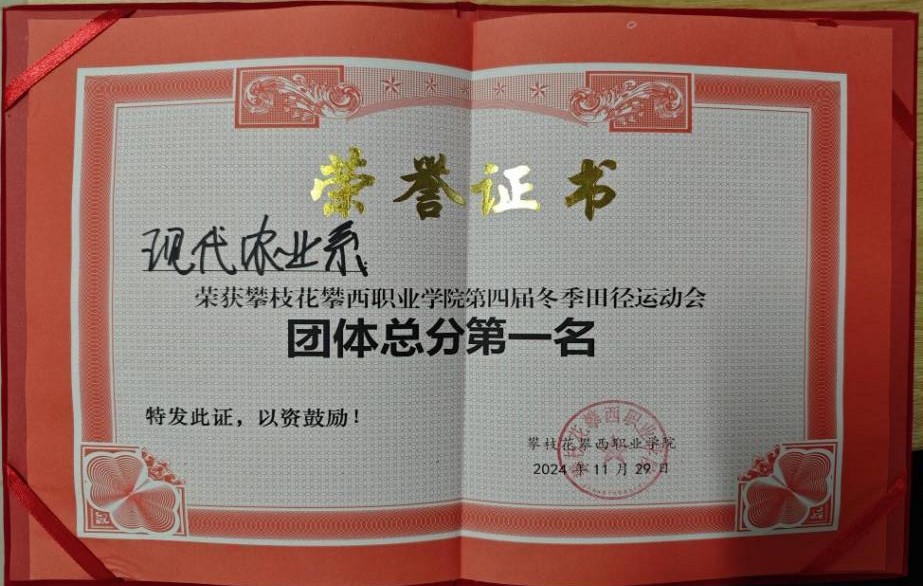 xcsport体育直播