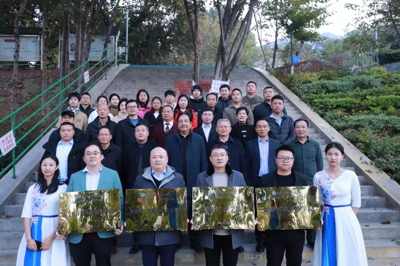 xcsport体育核心通道
