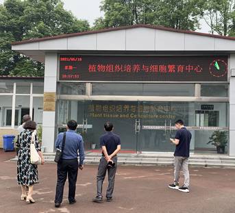 xcsport体育安全通道