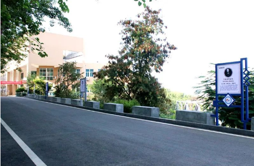 xcsport体育稳定线路