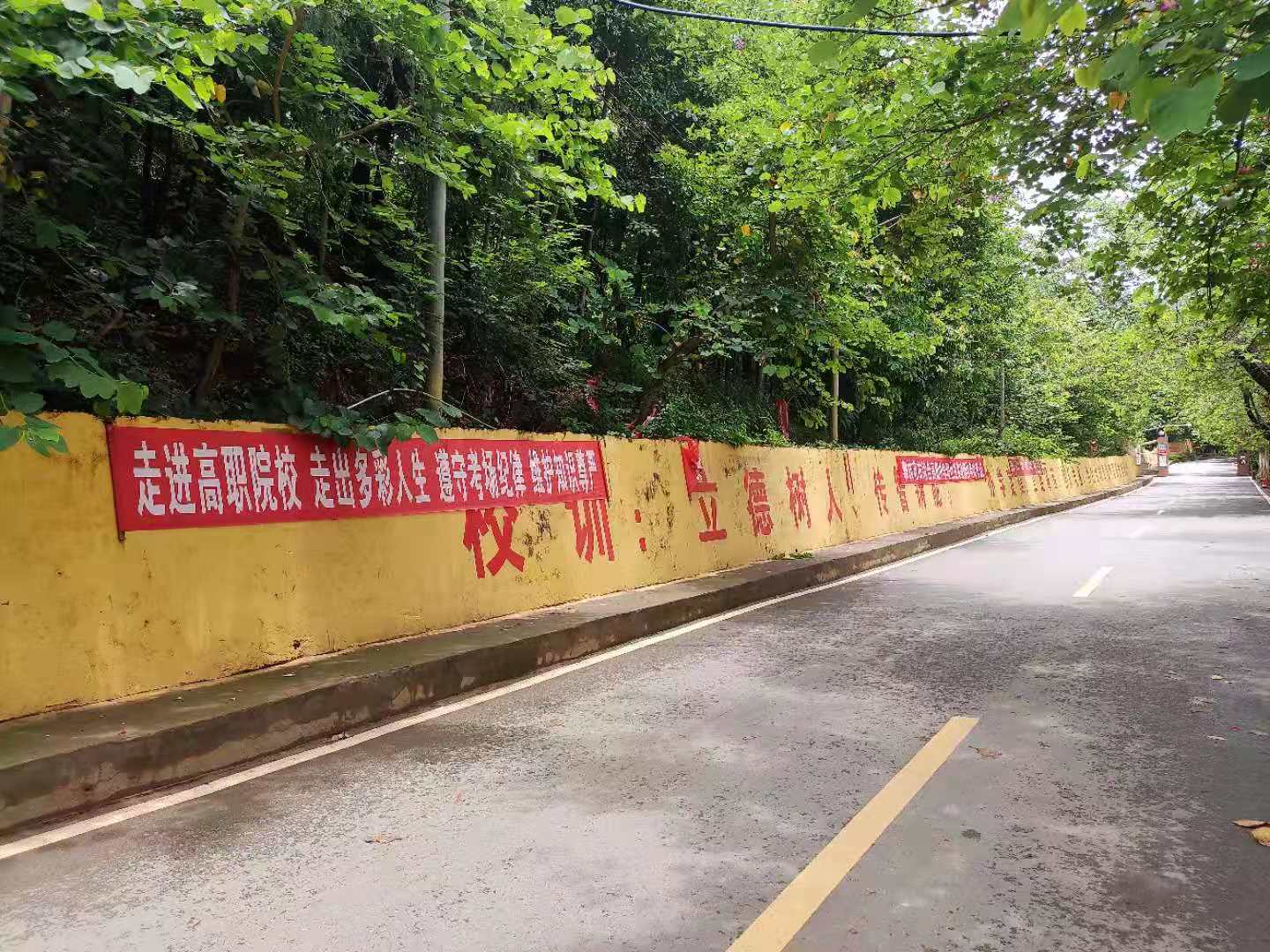 xcsport体育APP下载