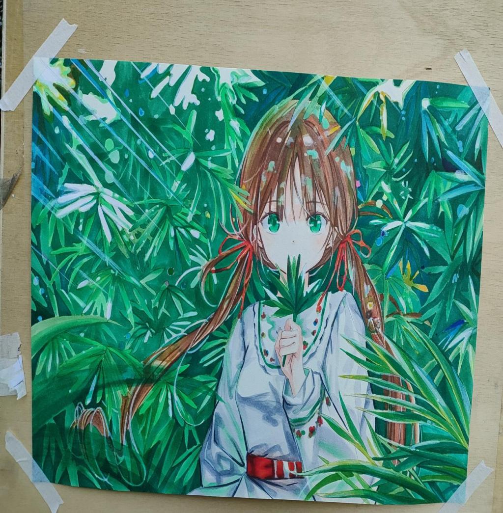 xcsport体育手机版