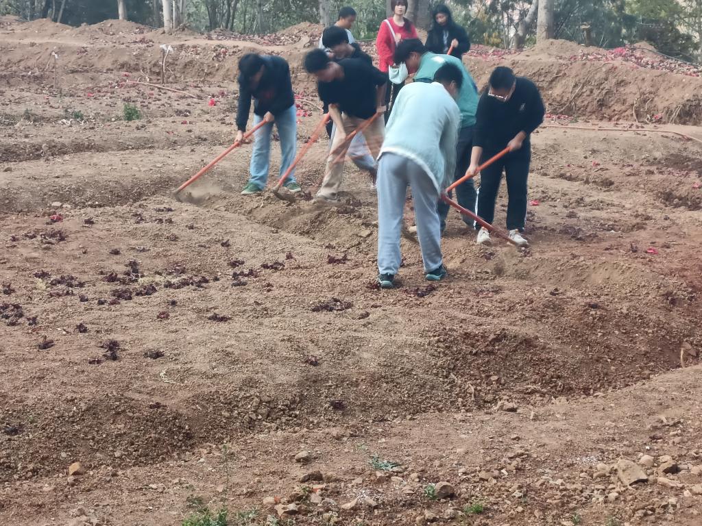 xcsport体育稳定线路