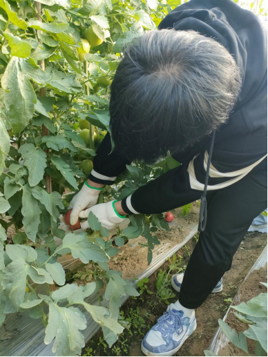xcsport体育核心通道