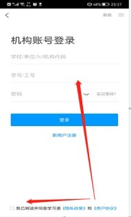 xcsport体育平台