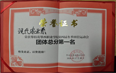 xcsport体育赛事资讯平台