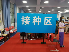 xcsport体育直播