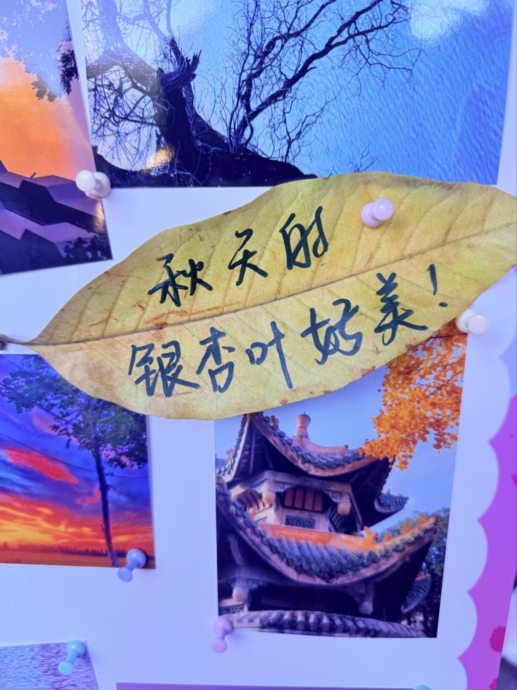 xcsport体育欧冠直播