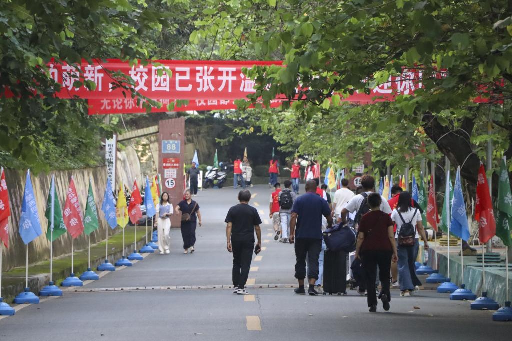 xcsport体育官方指定端