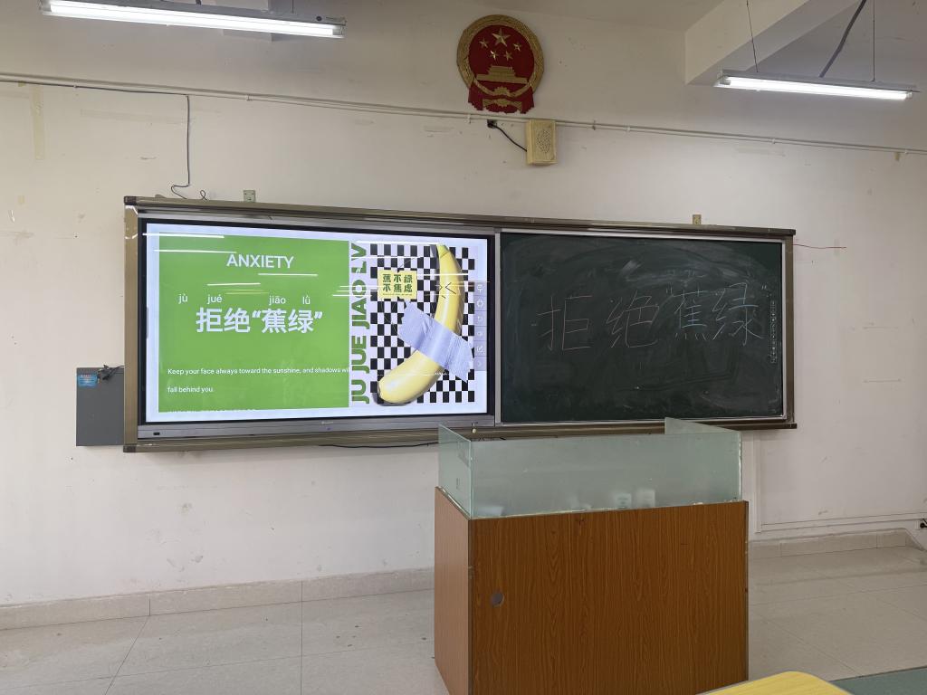 xcsport体育指定入口