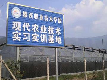 xcsport体育赛事资讯平台