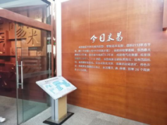 xcsport体育加速节点