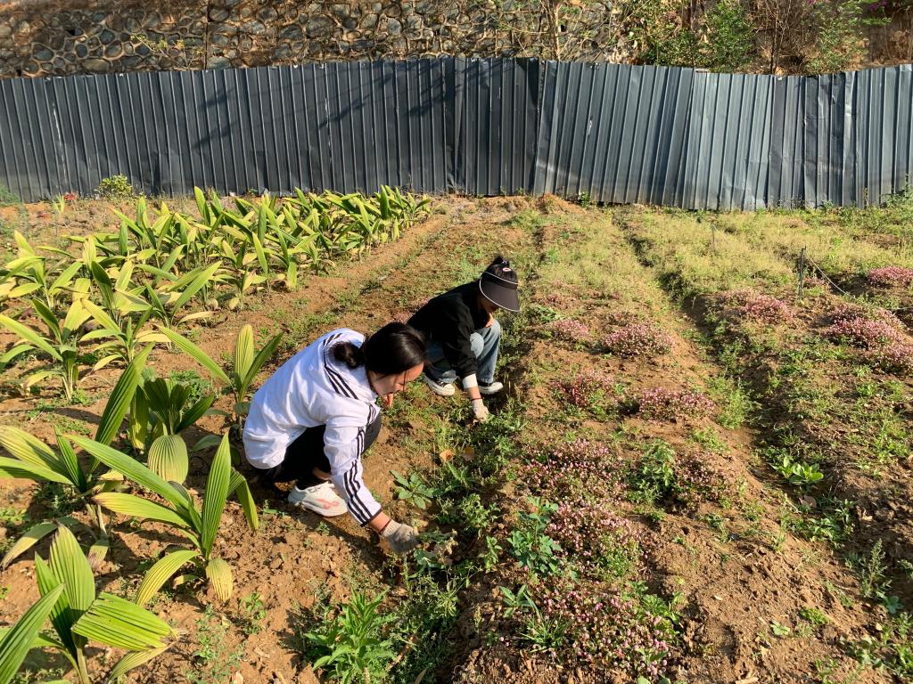 xcsport体育安全通道